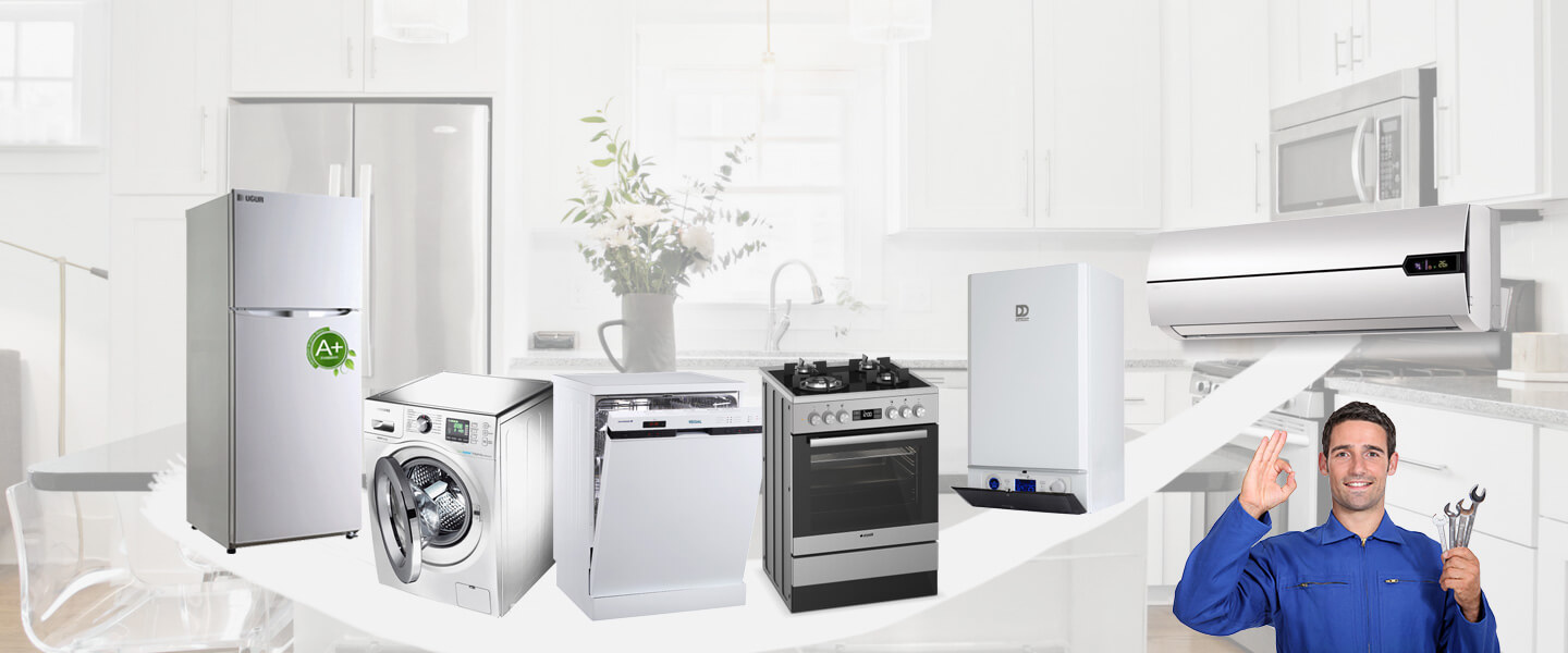 Bakırköy Electrolux Servisi